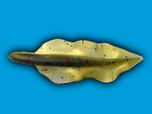 Relax Lures Relax List (9 cm) - L-CS004