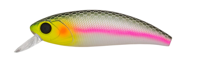 Carp Zoom Wobler Immortal Shad- 5 cm/4 g/plovoucí/pstruh